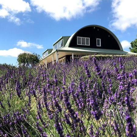 Lavender Hill Panzió Riverhead Kültér fotó