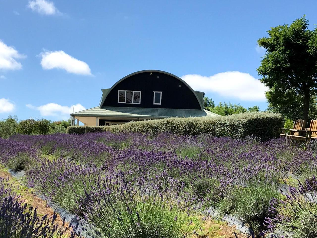 Lavender Hill Panzió Riverhead Kültér fotó