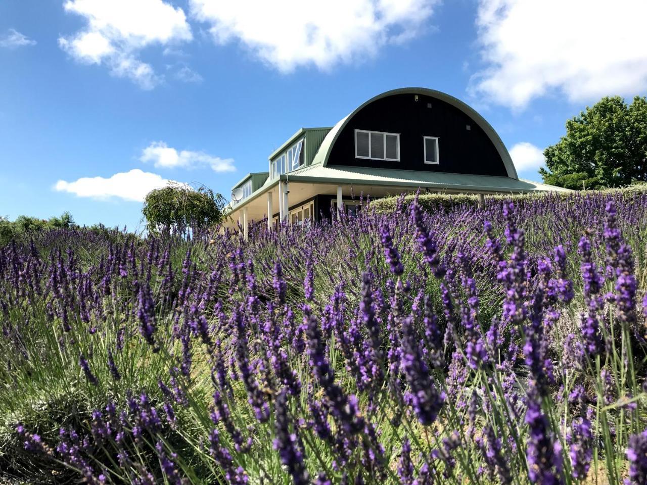 Lavender Hill Panzió Riverhead Kültér fotó